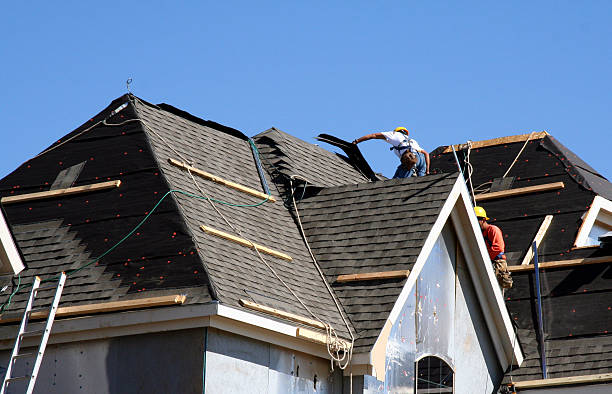 Best Roof Moss and Algae Removal  in Fairland, OK